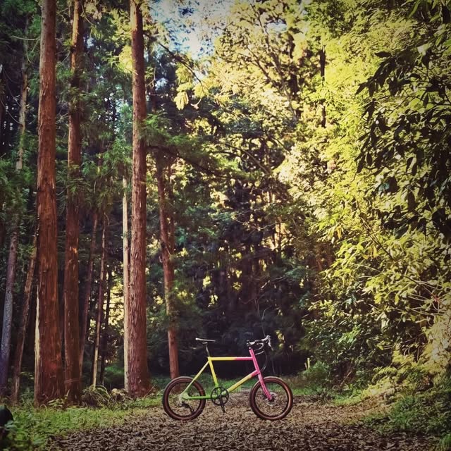 ARAYA公式Instagramの投稿写真