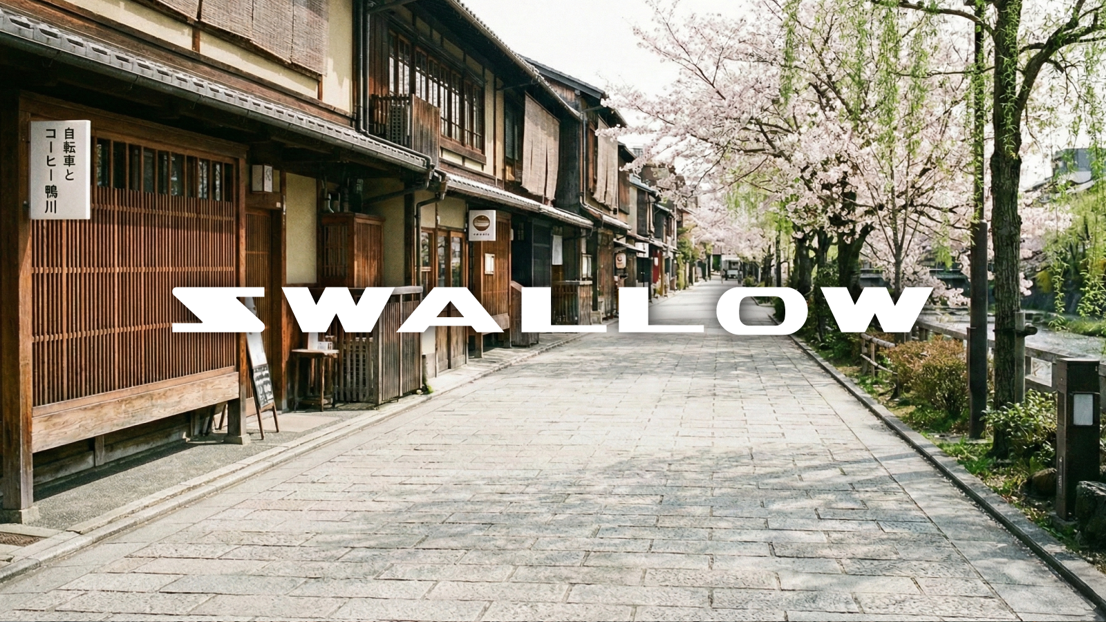 SWALLOW